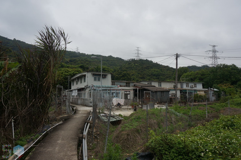 50+香港行之圍頭村(2022年3月27日) – 50+傳承