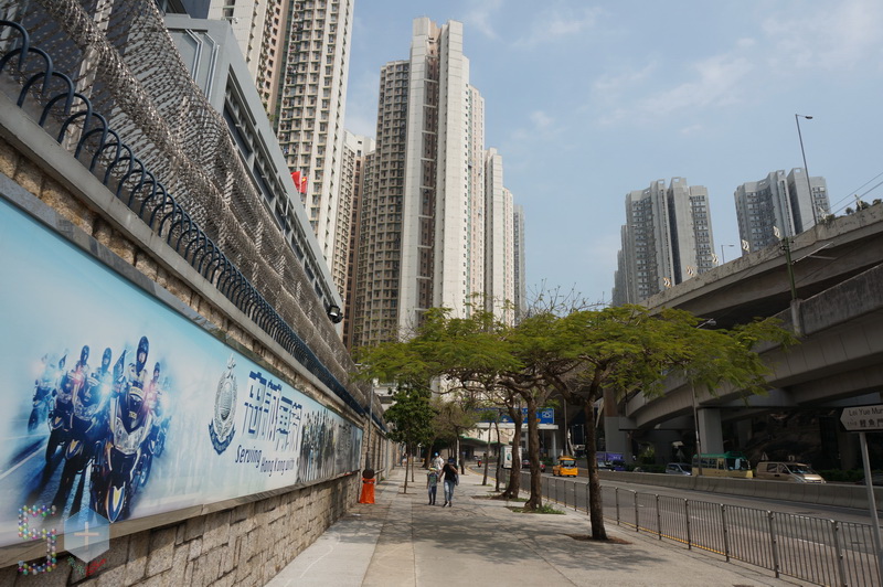 50+香港行之藍田公園(2022年4月14日) – 50+傳承