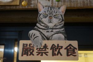 50+香港行之錦田紅磚屋(2022年6月5日)