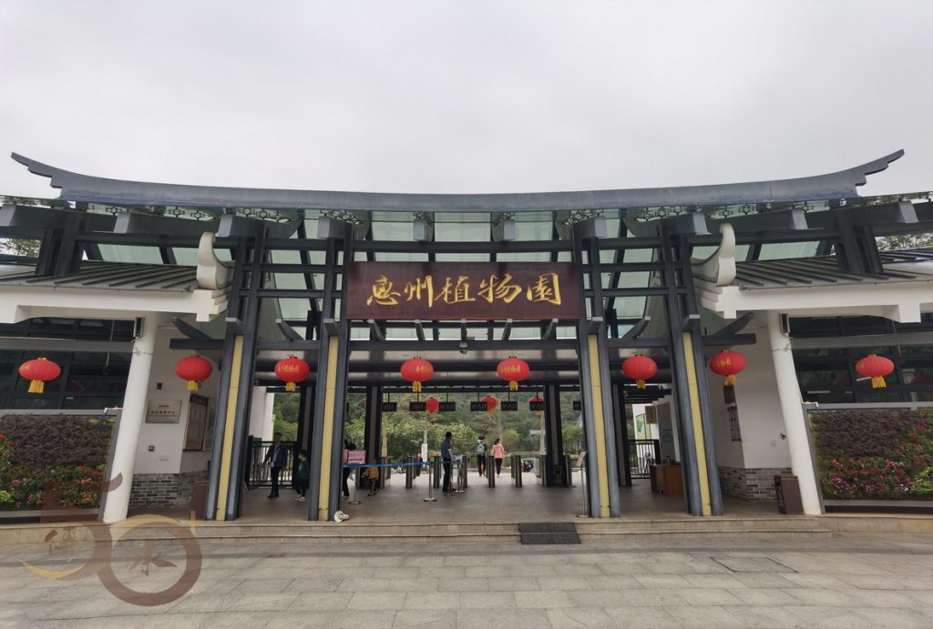 50+惠州行第二天之惠州植物園(2023年4月8日) – 50+傳承
