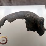 20250720_50+韶關行第三天之馬壩人博物館馬壩人展廳