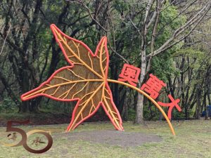 20260228_台灣五天行第四天之奧萬大綠野