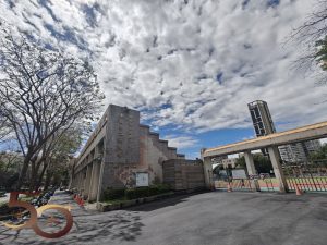 20260228_50+縱橫遊之台灣五天行連結