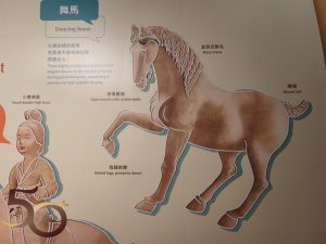 20260617_50+香港歷史博物館行之長安萬象互動區