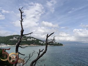 20260620_50+縱橫遊之小梅沙往溪涌燈塔棧道連結(小梅沙覲海廣場_鹽田海濱綠道_鹽田望海圖書館_溪涌棧道_溪豐海鮮餐廳_深圳蓮塘)