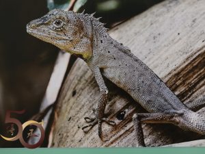 20260718_50+肇慶行第三天之肇博鼎湖山成果展