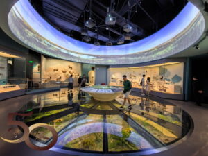 20260920_50+南昌景德行第二天之江西省博物館九號展廳湖泊生命呼喚